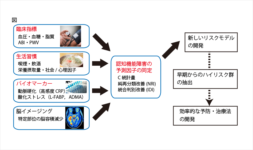 慢性腎臓病高齢者を対象とした認知機能障害と動脈硬化に関する縦断的コホート研究