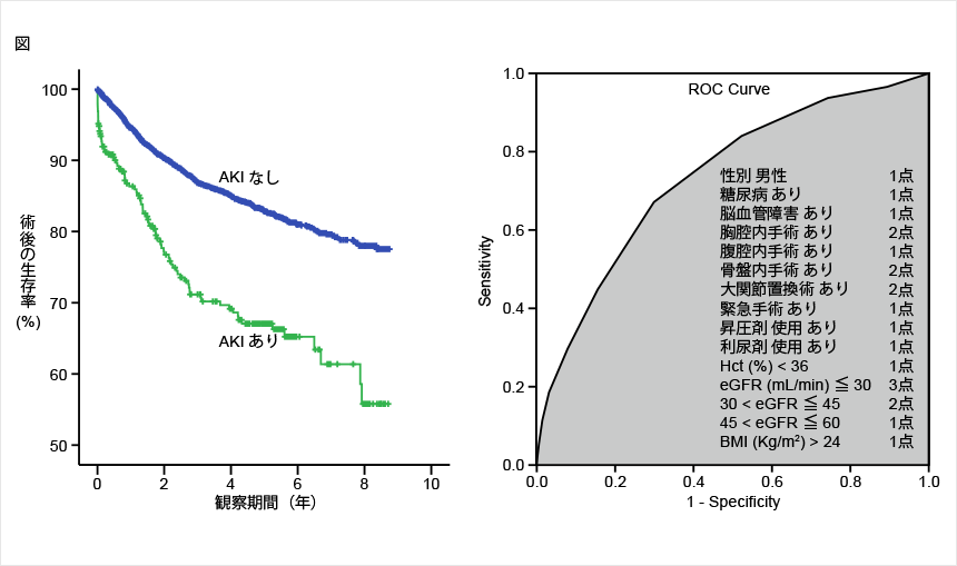 非心臓手術における術後急性腎不全の発症及び予後予測因子についての後ろ向きコホート研究