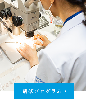 研修プログラム