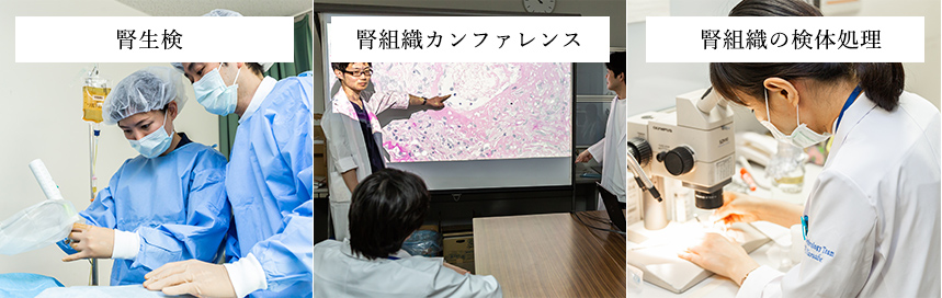 腎生検・腎組織カンファレンス・腎組織の検体処理